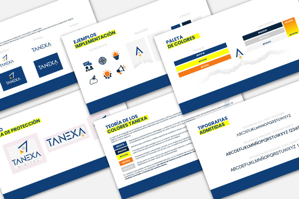 Branding — Tanexa Digital